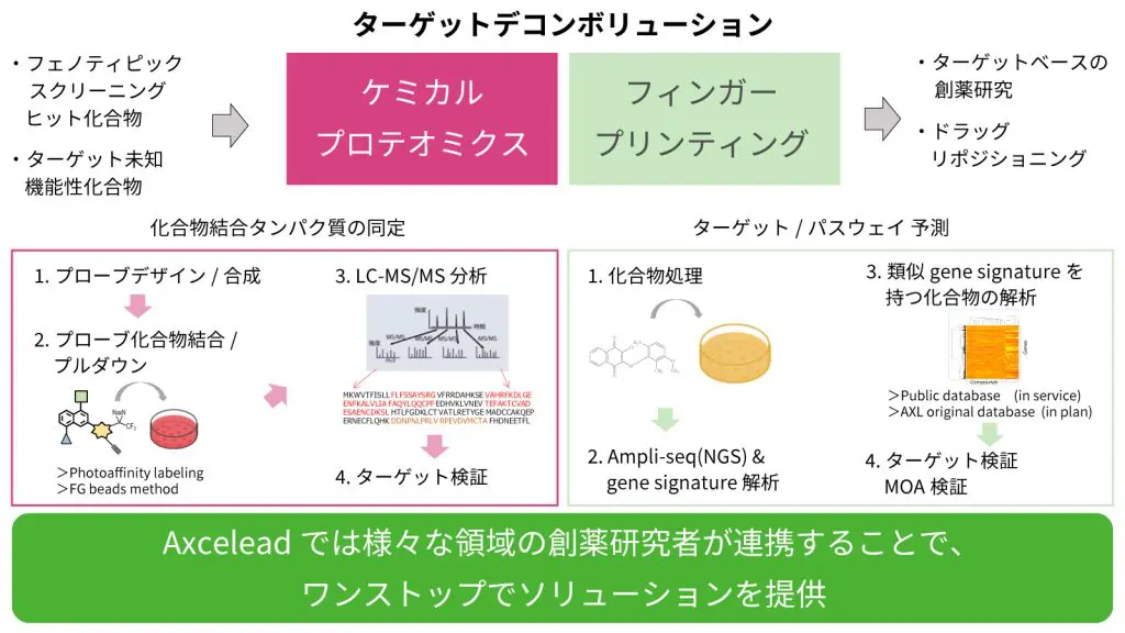 各疾患モデル動物の作製と病態・薬効評価 フェノティピック_3-1-1024x576.