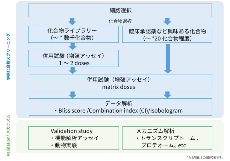 臨床での併用戦略や併用化合物の探索・メカニズム解析など、お客様のニーズに合わせた薬剤併用解析サービスをご提供 - Axcelead Drug ...