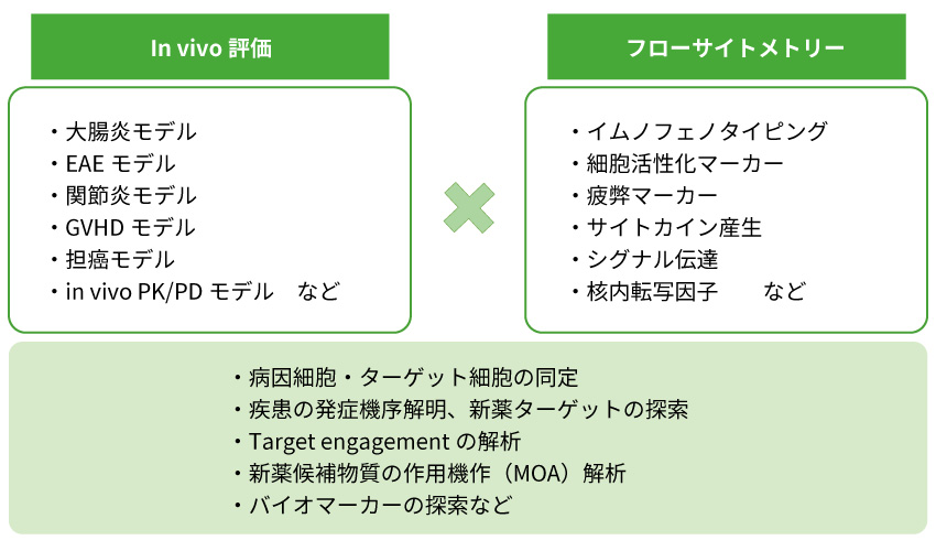 フローサイトメトリーを活用しターゲットバリデーションから臨床試験 